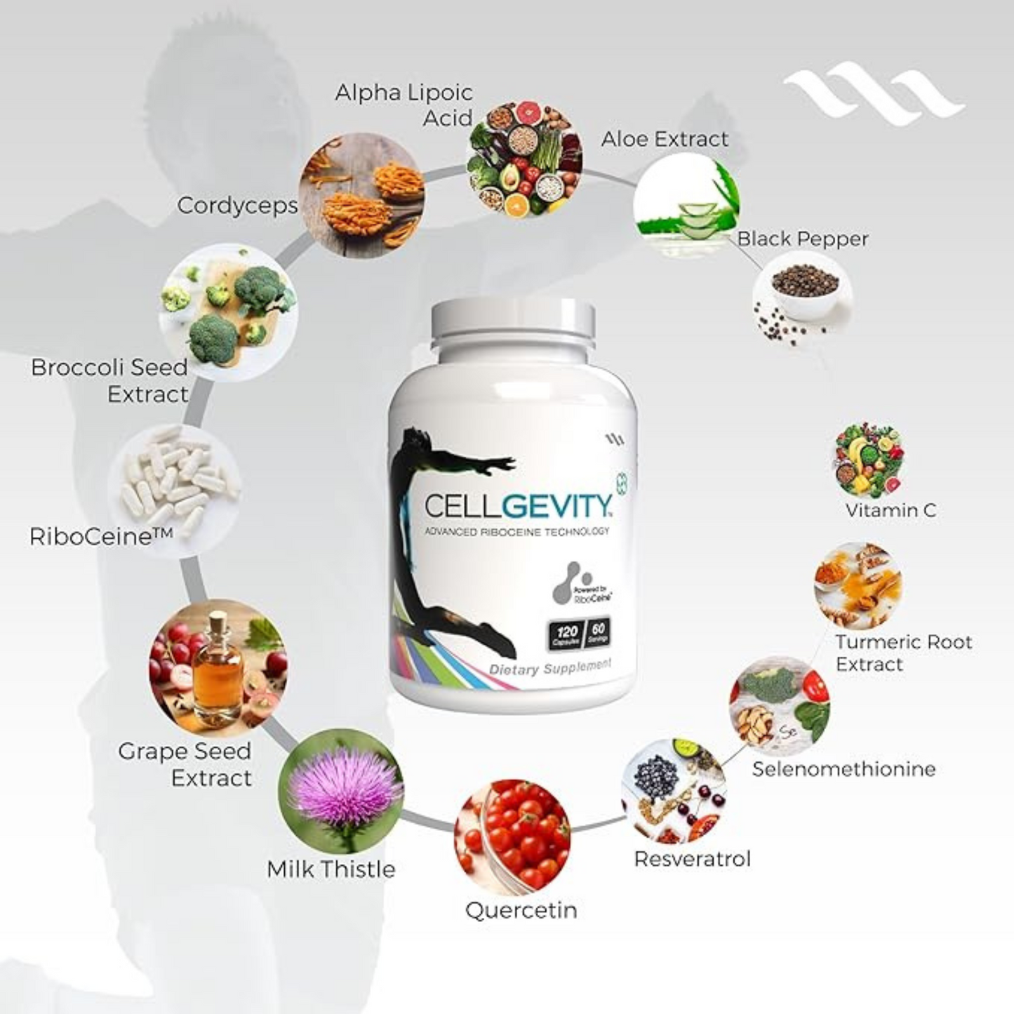 Cellgevity® Glutathione Boost – Advanced RiboCeine™ Cellular Defense