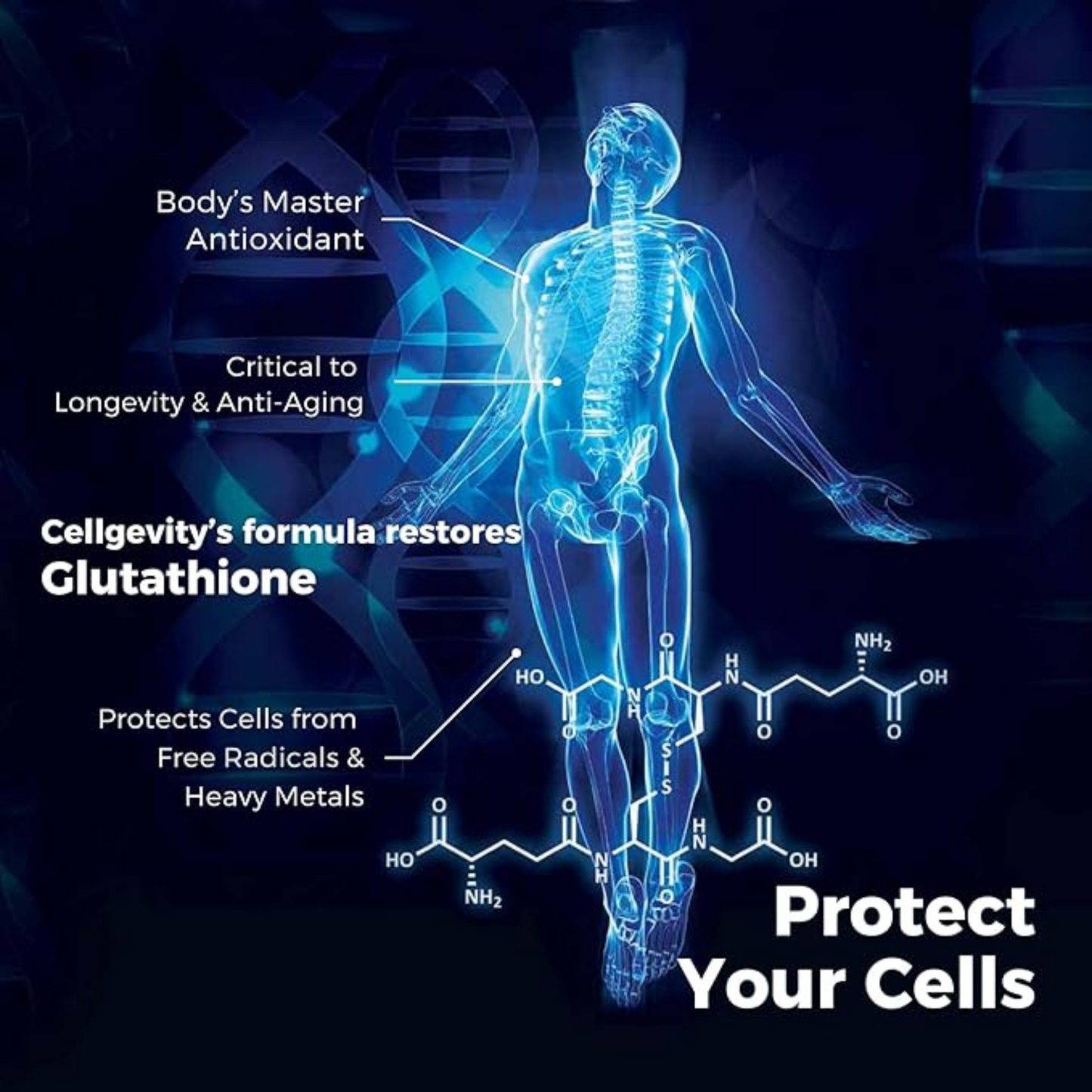 Cellgevity® Glutathione Boost – Advanced RiboCeine™ Cellular Defense