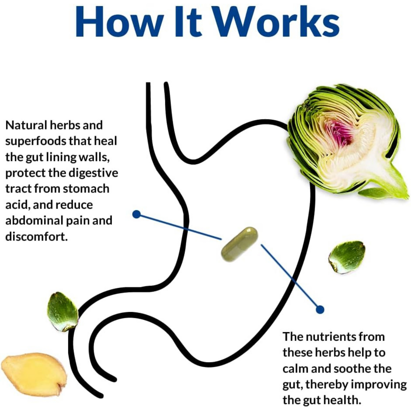 Gut Alive™ – Advanced Gut Repair & Digestive Defense