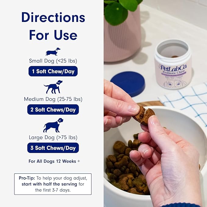 PetLab Co.® Dog Probiotic Chews – Pork Flavor – 30 ct