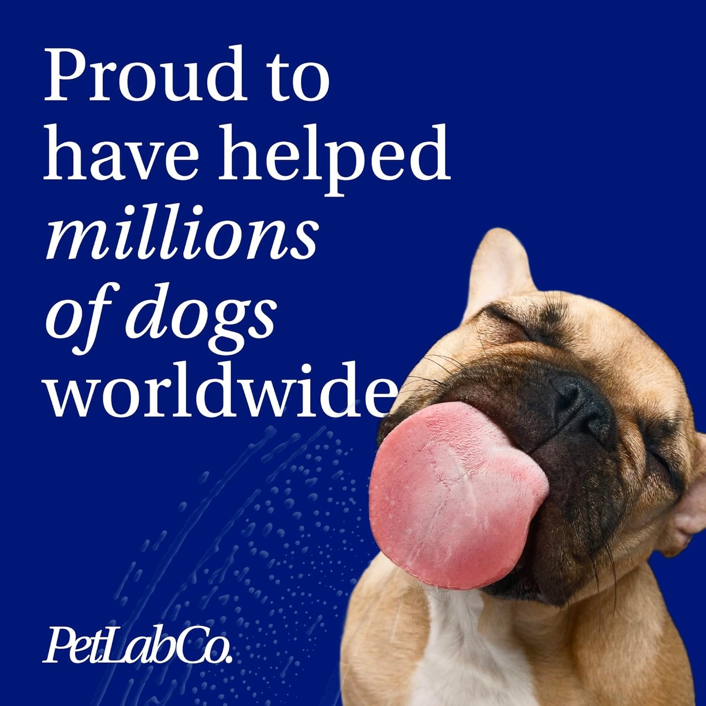 PetLab Co.® Dog Probiotic Chews – Pork Flavor – 30 ct