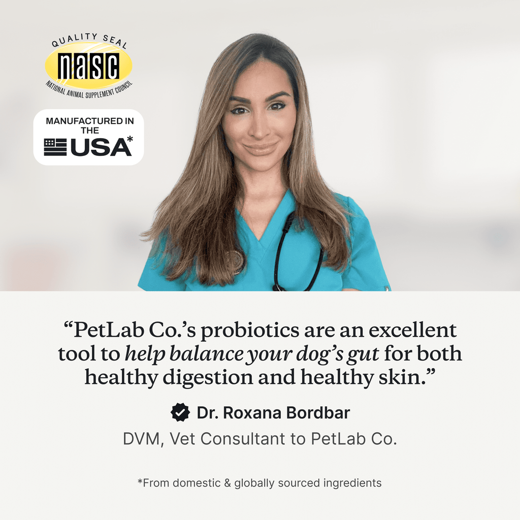 PetLab Co. Probiotic Chews, Delicious Soft Chew Probiotics For Dogs, 30 ct.